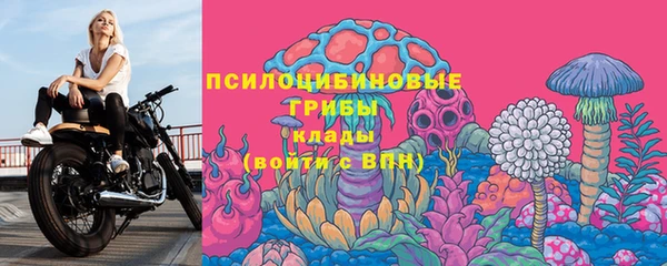 PSILOCYBIN Абаза