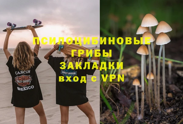 ГАЛЛЮЦИНОГЕННЫЕ ГРИБЫ Абинск
