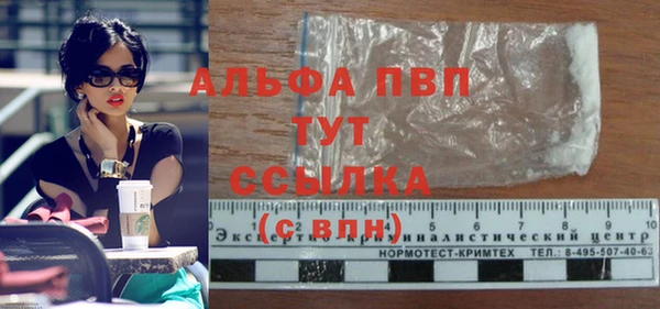 PSILOCYBIN Абаза