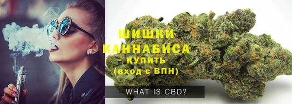 PSILOCYBIN Абаза
