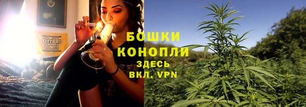 ГАЛЛЮЦИНОГЕННЫЕ ГРИБЫ Абинск